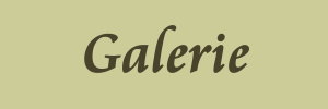 galerie2
